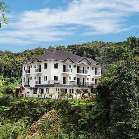 Rovers Inn Guesthouse - Age 11 And Above Only (Adults Only) 타나라타 외부 사진